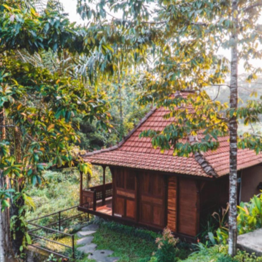 The Jungle Villa 우붓 외부 사진