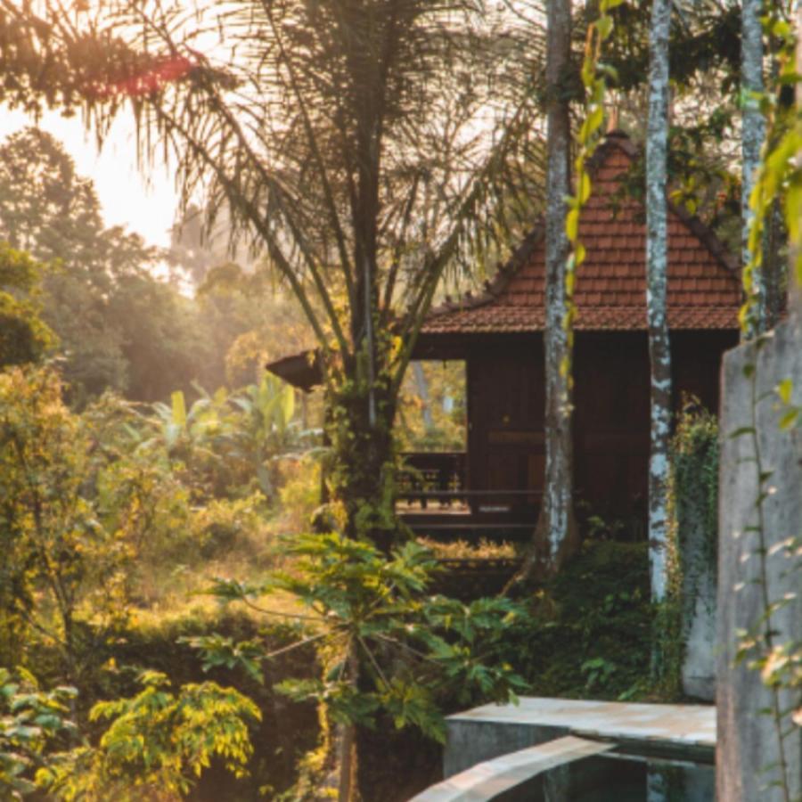 The Jungle Villa 우붓 외부 사진