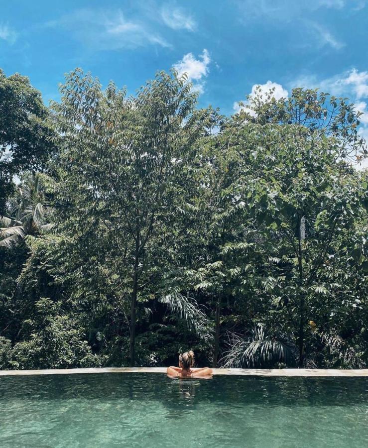 The Jungle Villa 우붓 외부 사진