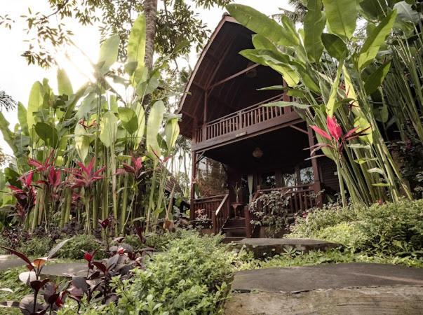 The Jungle Villa 우붓 외부 사진