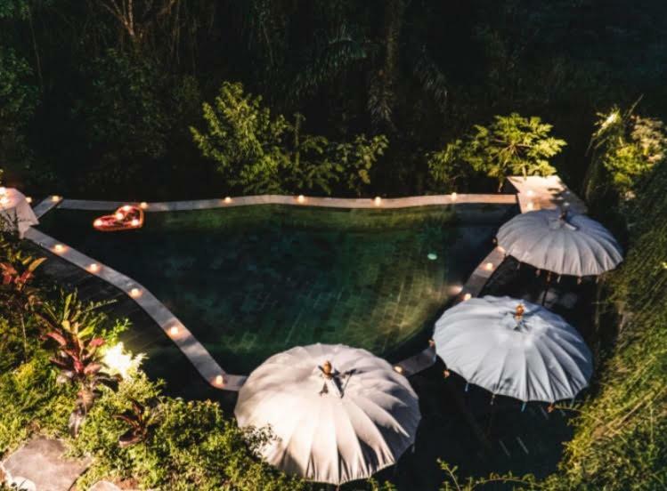 The Jungle Villa 우붓 외부 사진